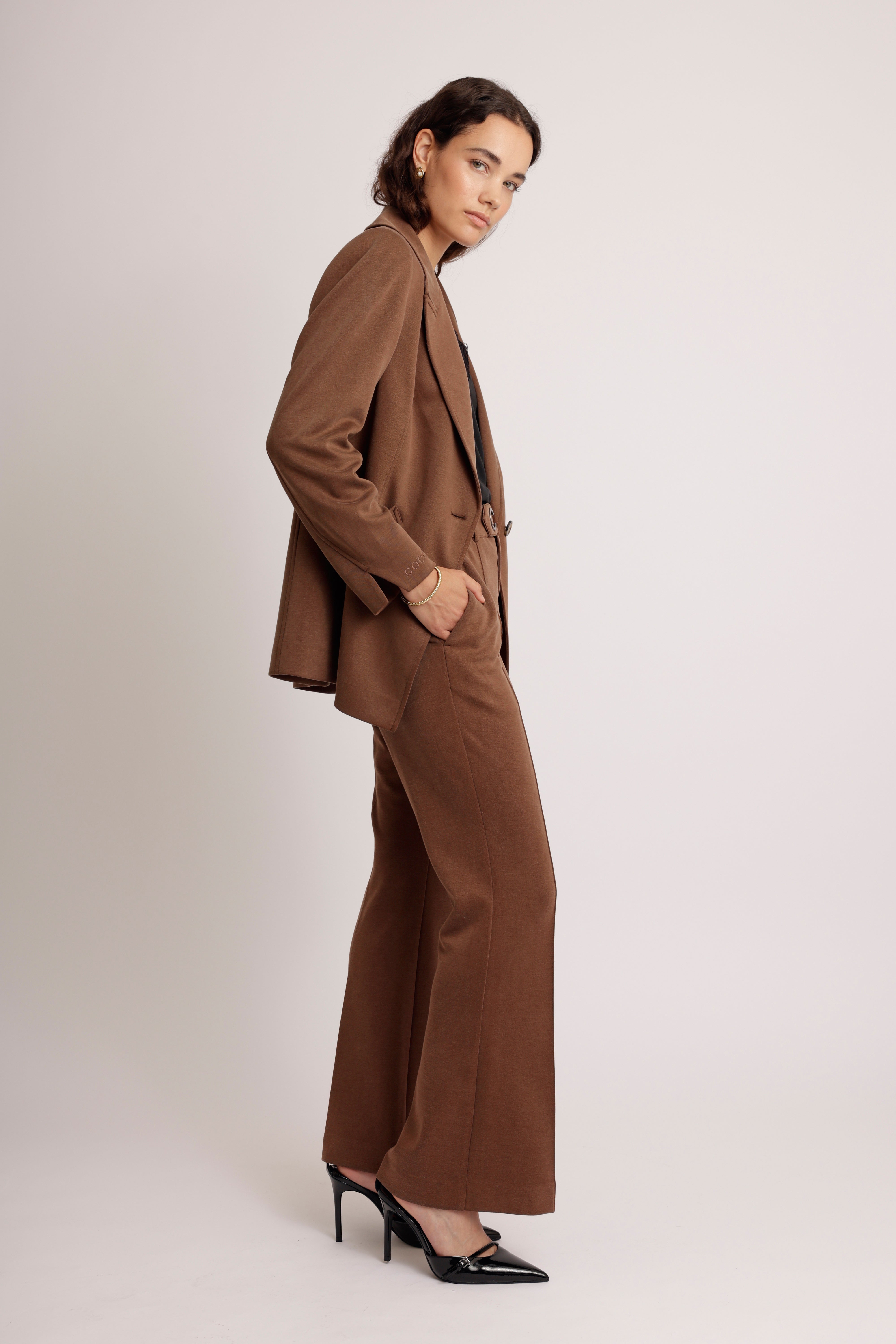 Wrinkle-Free Flared Stretchable Trousers | Brown